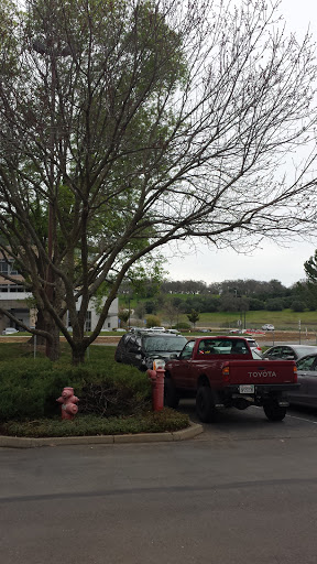 Nissan Dealer «Future Nissan of Folsom», reviews and photos, 12610 Auto Mall Cir, Folsom, CA 95630, USA