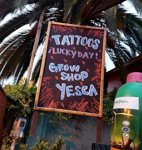Opiniones de Lucky Day Tattoo Studio en La Reina - Estudio de tatuajes