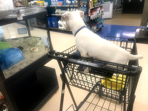 Pet Supply Store «Petco Animal Supplies», reviews and photos, 5631 Grove Blvd, Hoover, AL 35226, USA