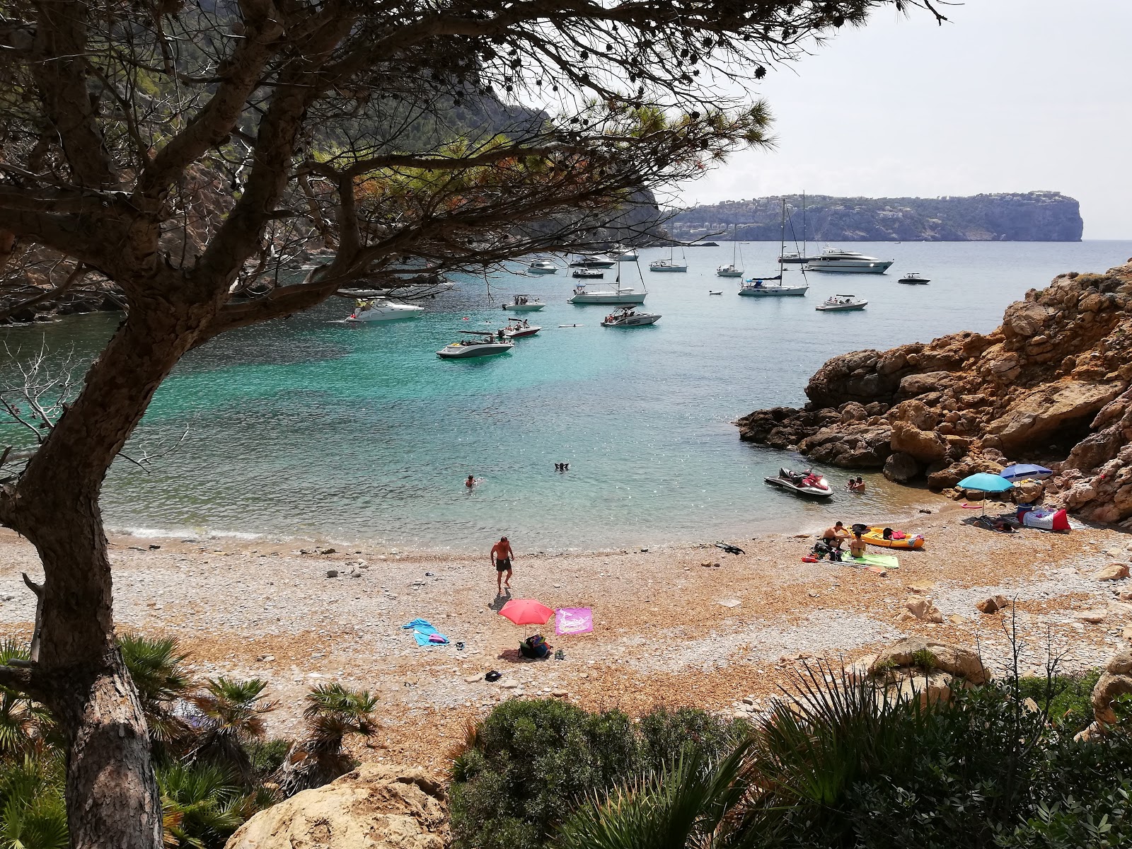 Cala D'egos'in fotoğrafı vahşi alan