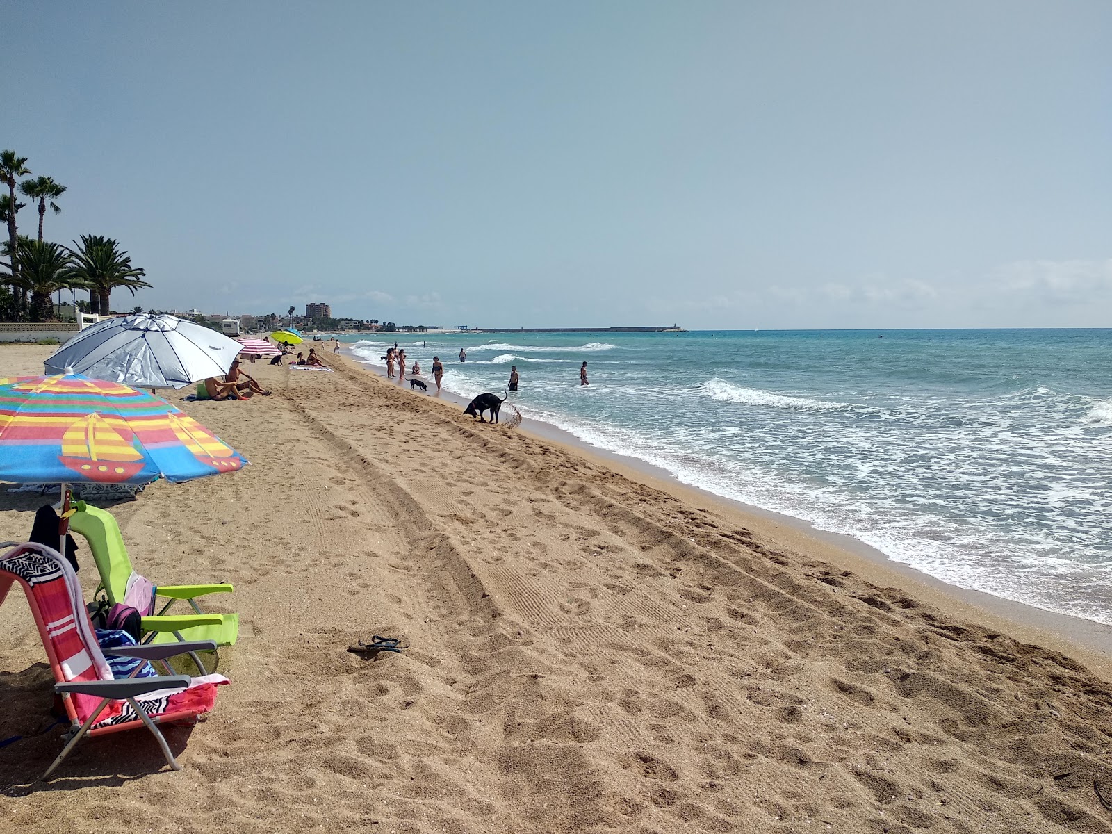 Zdjęcie Platja del Morrongo z powierzchnią brązowy piasek