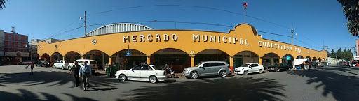 Mercado Municipal Cuautitlán