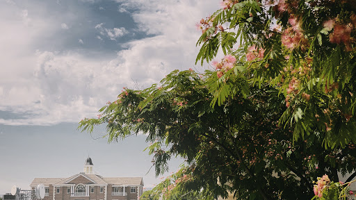 General Practice Attorney «Barney McKenna & Olmstead, P.C.», reviews and photos