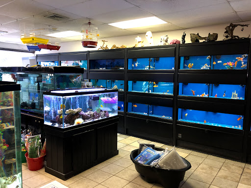 Pet Store «Fish Bowl Pets», reviews and photos, 1013 Hope St, Stamford, CT 06907, USA