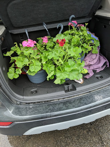 Supermarket «ALDI», reviews and photos, 15849 OH-170, Calcutta, OH 43920, USA