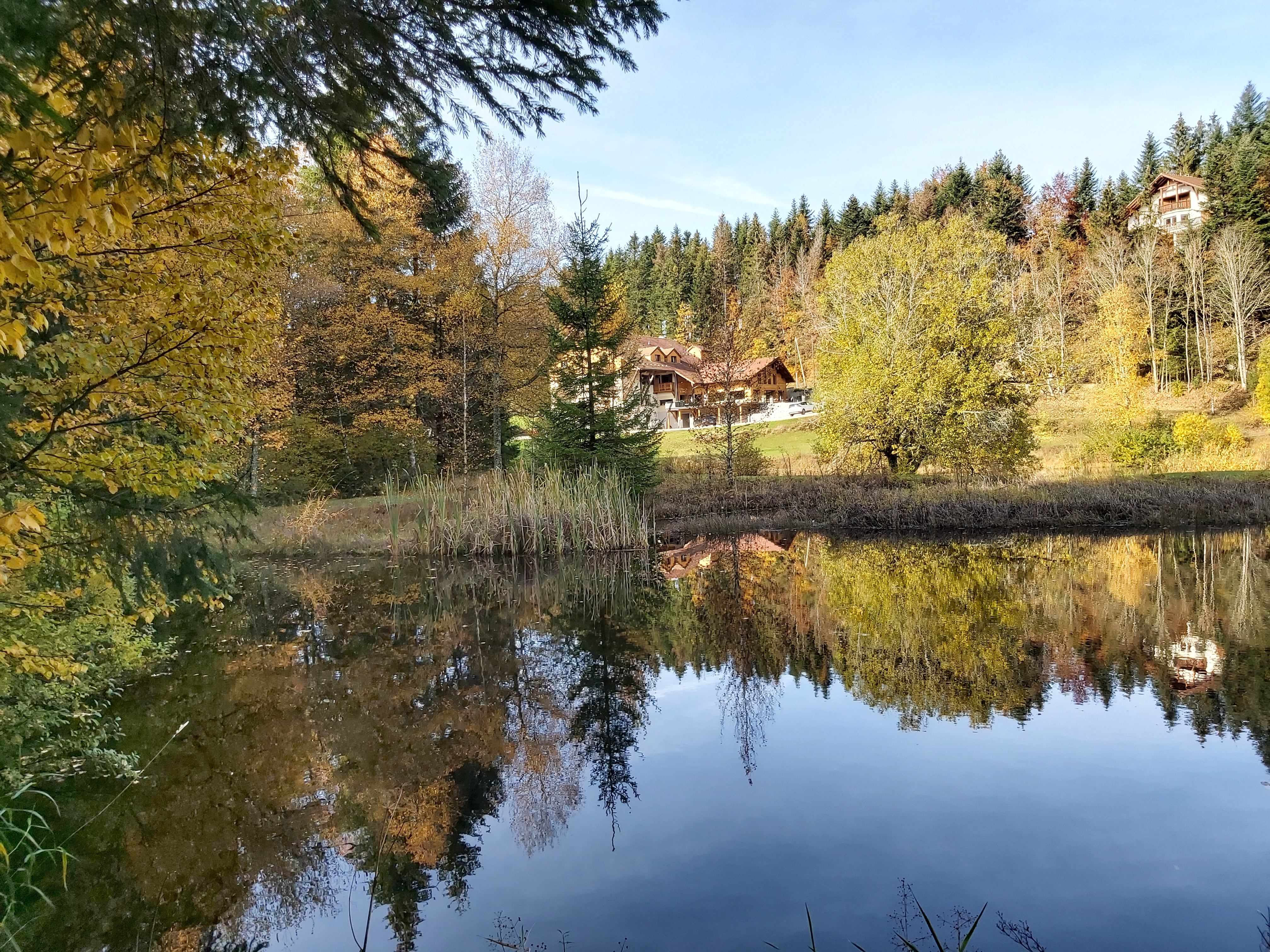 Photo n° 2 de l'avis de Marie.o fait le 25/10/2020 à 10:26