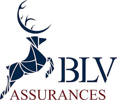 B.L.V Assurances à Lyon