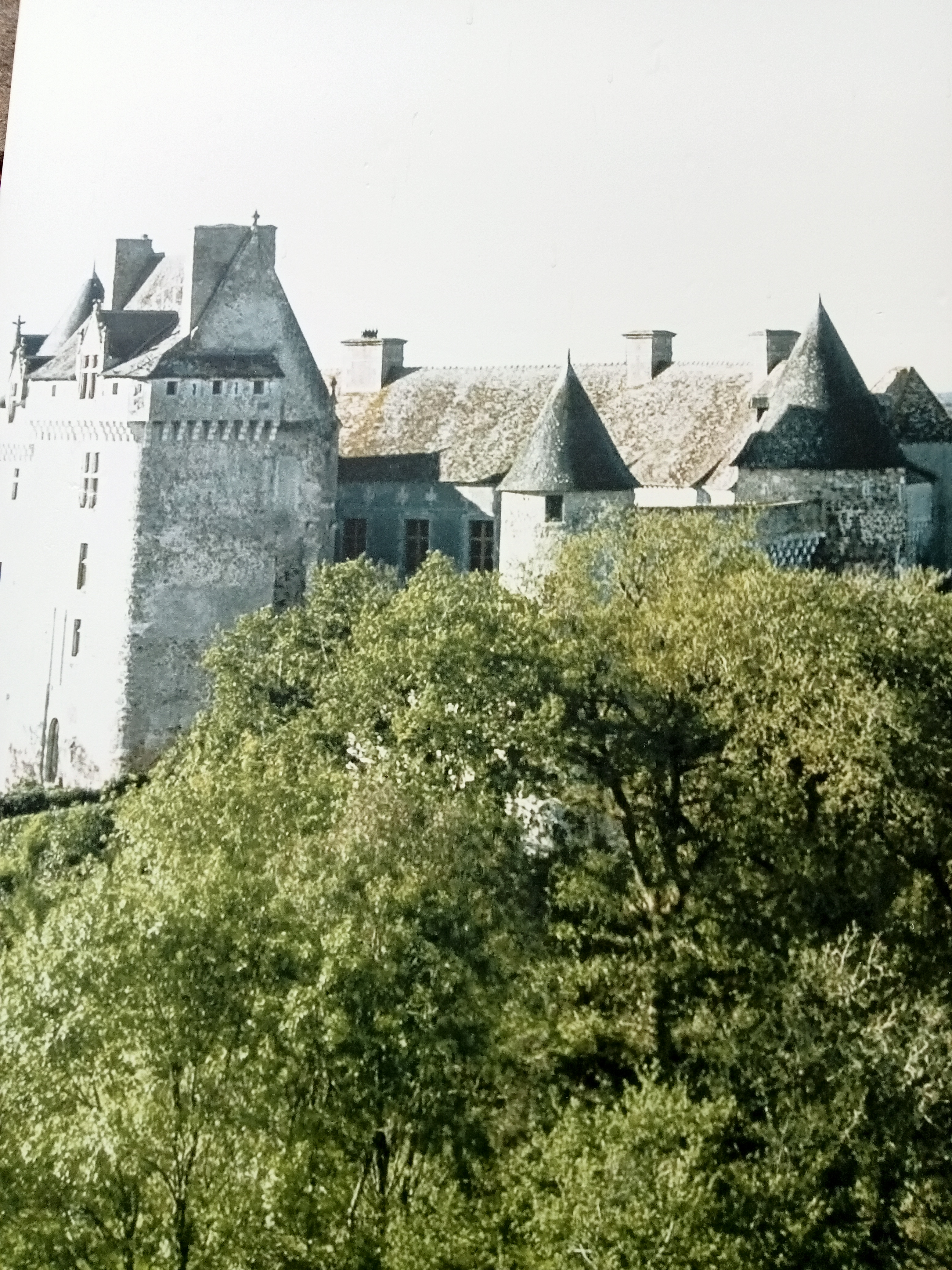 Photo n° 1 de l'avis de Marlène.a fait le 22/09/2023 à 22:10