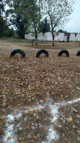 Opiniones de Cancha Club Manzanal en San Carlos - Campo de fútbol