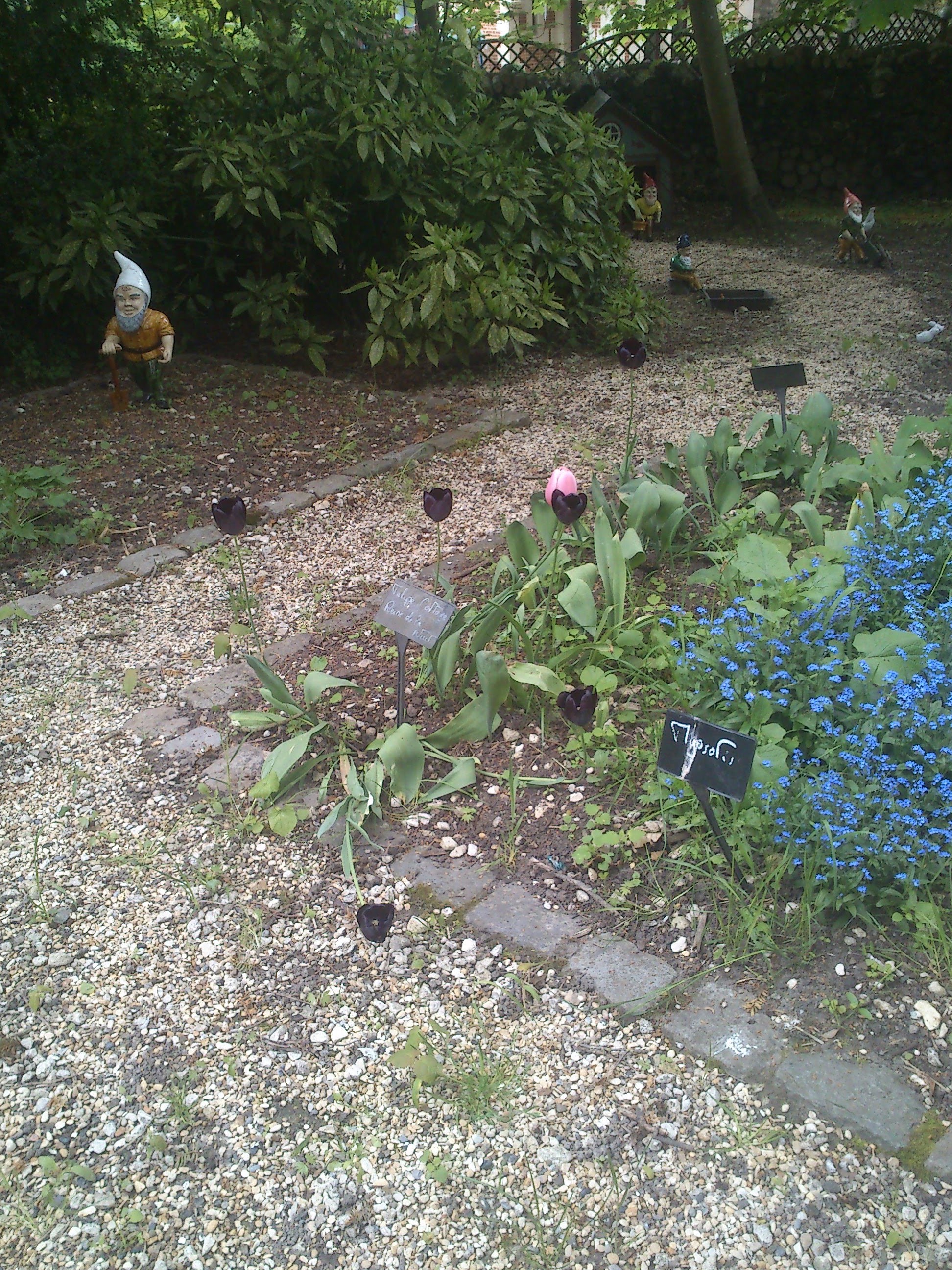 Photo n° 27 de l'avis de Guillaume.A fait le 10/05/2013 à 20:15