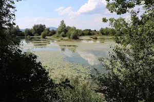 Jezero Orešje image