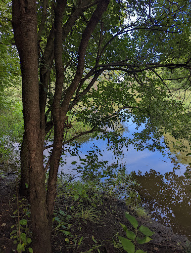 Nature Preserve «Bode Lake», reviews and photos, Bode Rd, Streamwood, IL 60107, USA