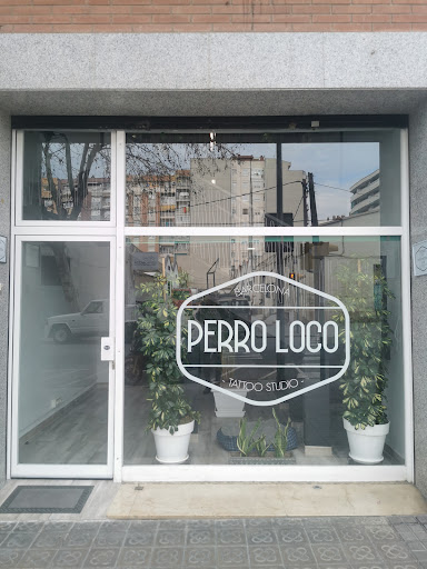 Perro Loco - tattoo studio