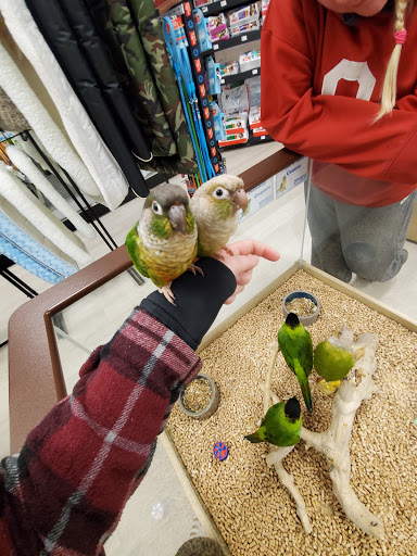 Pet Store «Petland Topeka», reviews and photos, 1801 SW Wanamaker Rd, Topeka, KS 66614, USA