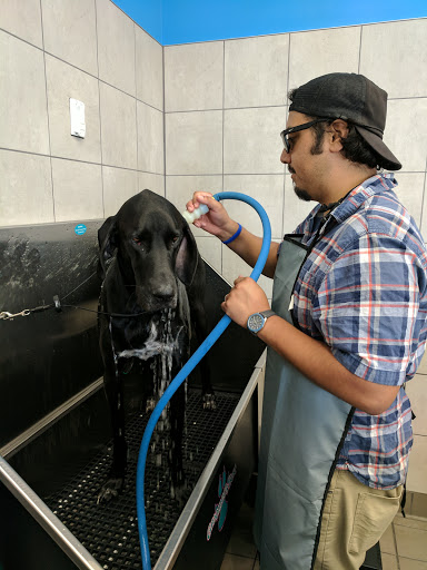 Pet Supply Store «Pet Supplies Plus», reviews and photos, 2250 N Rock Rd Ste. 110, Wichita, KS 67226, USA