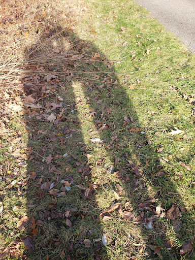 Nature Preserve «Eliason Nature Reserve», reviews and photos, 9501 Shaver Rd, Portage, MI 49024, USA