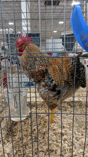 Fairground «Canyon County Fair», reviews and photos, 111 S 22nd Ave, Caldwell, ID 83605, USA