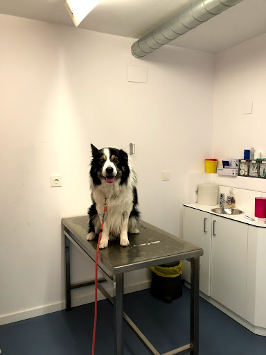 Provitas Veterinaria en Esplugues de Llobregat