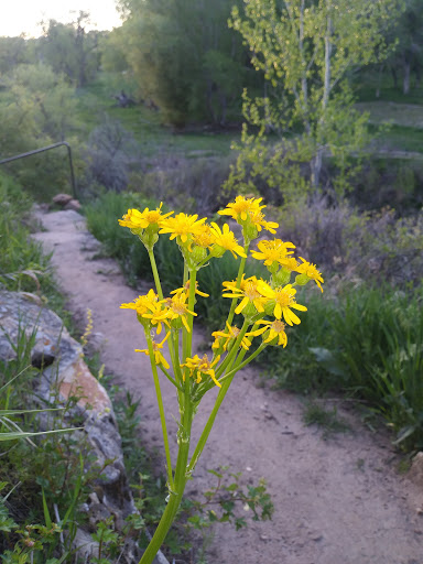 Golf Course «Mariana Butte Golf Course», reviews and photos, 701 Clubhouse Dr, Loveland, CO 80537, USA