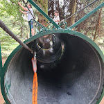 Photo n° 7 de l'avis de Serita.o fait le 27/07/2022 à 15:33 pour Ballon d'Alsace Aventure à Sewen