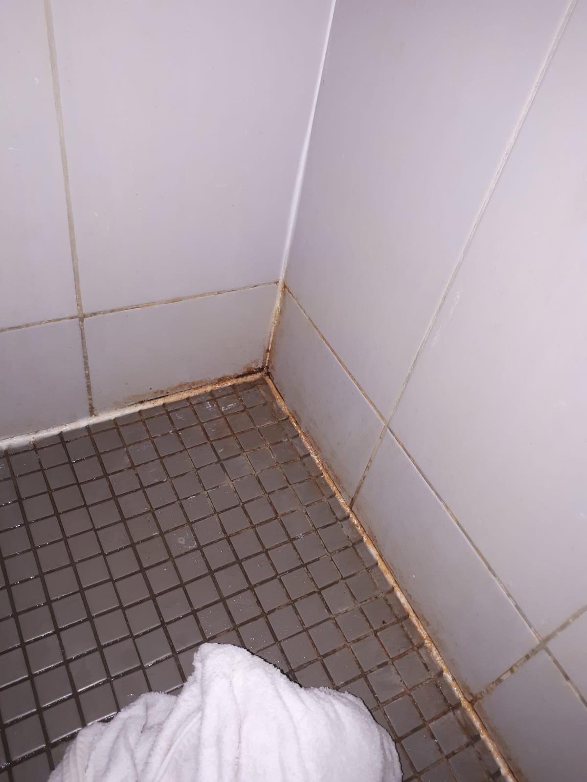 Photo n° 8 de l'avis de Cyril.a fait le 30/06/2018 à 13:02