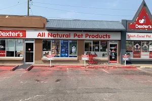 Dexter's your local Pet Shop image