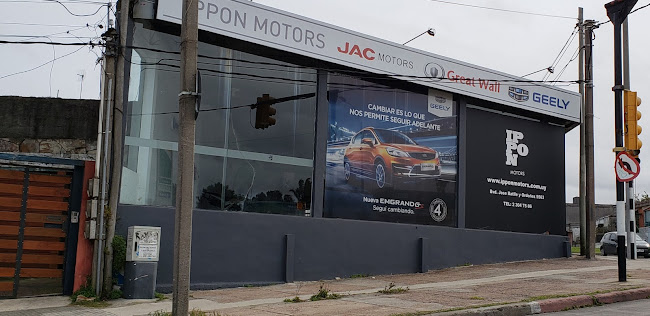 Ippon Motors - Paso Carrasco