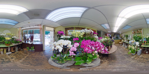 Florist «LARCHMONT VILLAGE FLORIST», reviews and photos, 420 N Larchmont Blvd, Los Angeles, CA 90004, USA