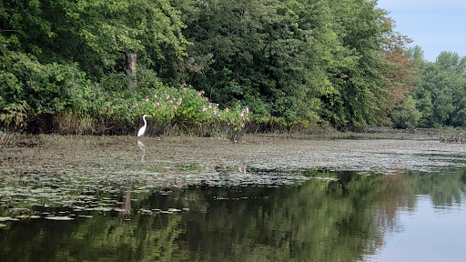 Shopping Mall «Dedham Mall», reviews and photos, 300 Providence Hwy, Dedham, MA 02026, USA