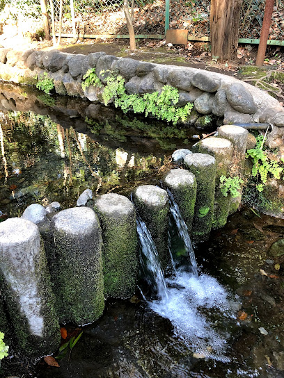 お鷹の道・真姿の池湧水群