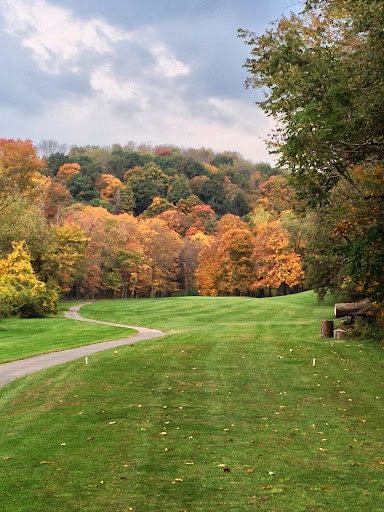 Golf Course «Rose Ridge Golf Course», reviews and photos, 4769 Gibsonia Rd, Allison Park, PA 15101, USA