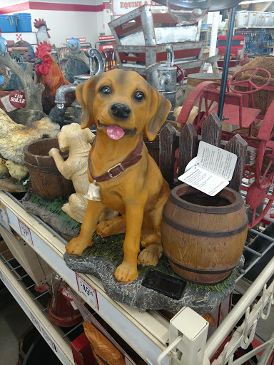 Home Improvement Store «Tractor Supply Co.», reviews and photos, 6801 Lake Harbour Dr, Midlothian, VA 23112, USA