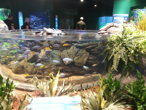 Shopping Mall «Newport on the Levee», reviews and photos, 1 Levee Way, Newport, KY 41071, USA