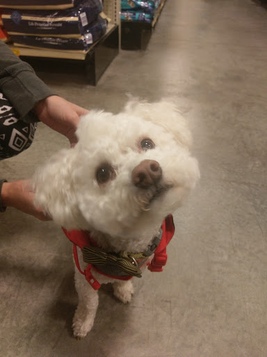 Pet Supply Store «PetSmart», reviews and photos, 1034 N El Camino Real, Encinitas, CA 92024, USA