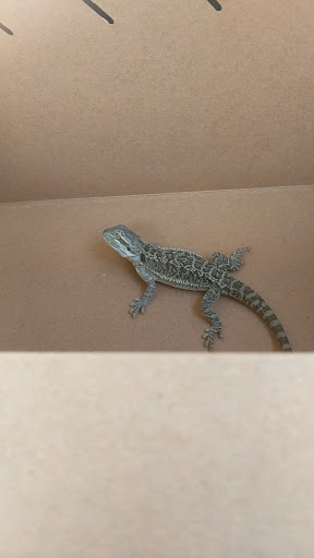 Pet Supply Store «Petco Animal Supplies», reviews and photos, 2901 32nd Ave S, Grand Forks, ND 58201, USA