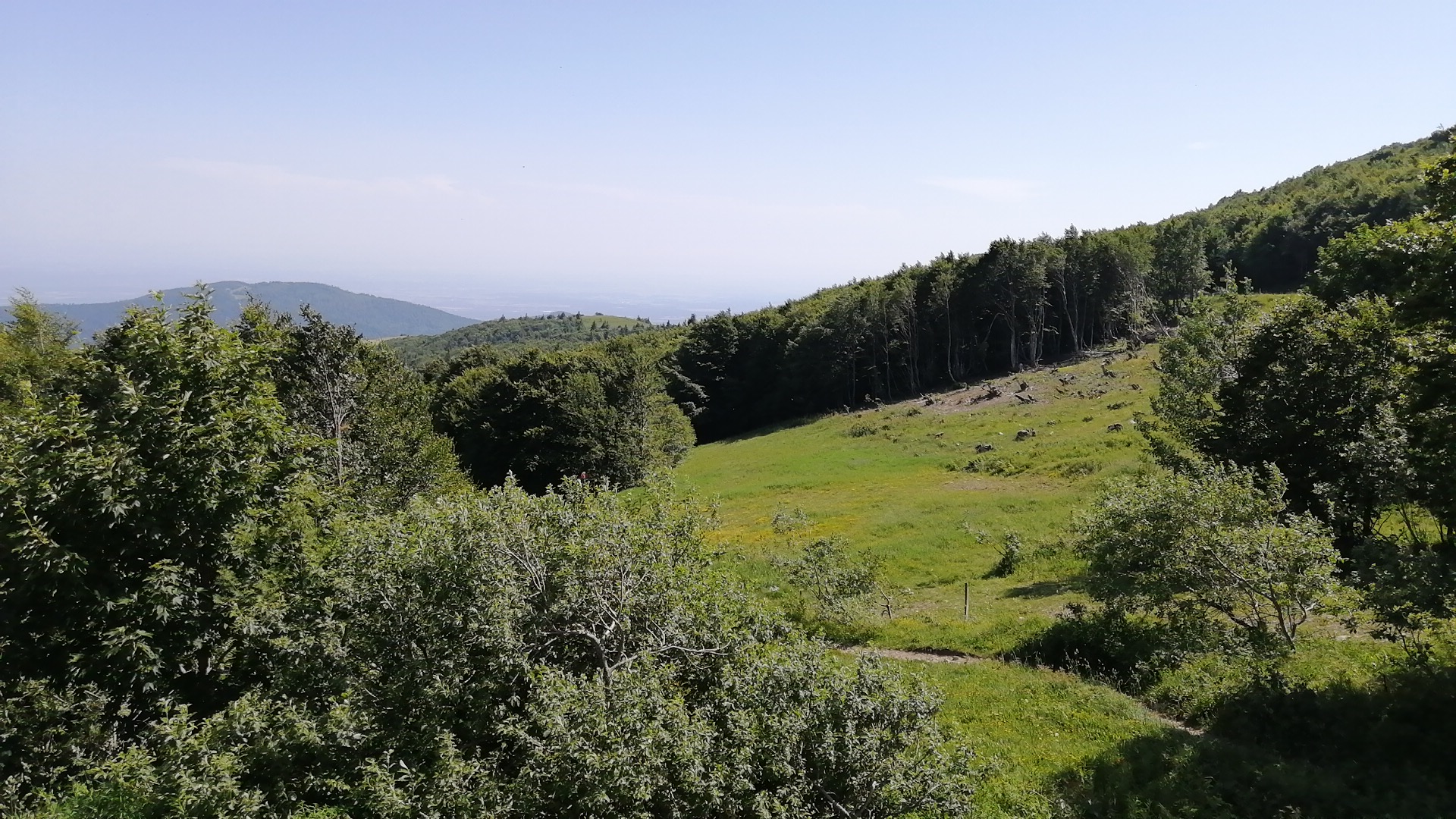 Photo n° 3 de l'avis de J. fait le 30/06/2019 à 14:09