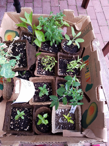 Grocery Store «Heirloom Market at Comstock Ferre», reviews and photos, 263 Main St, Wethersfield, CT 06109, USA