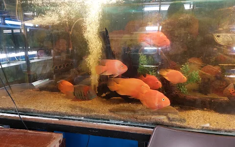 Arnesha Aquariums pvt ltd image