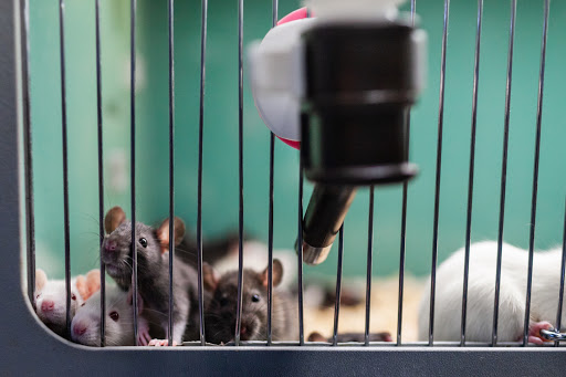 Pet Store «Sierra Fish and Pets», reviews and photos, 601 S Grady Way Suite M, Renton, WA 98057, USA