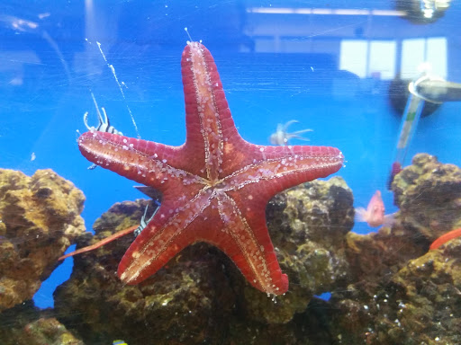 Pet Supply Store «Petco Animal Supplies», reviews and photos, 753 53rd Ave NE, Fridley, MN 55421, USA