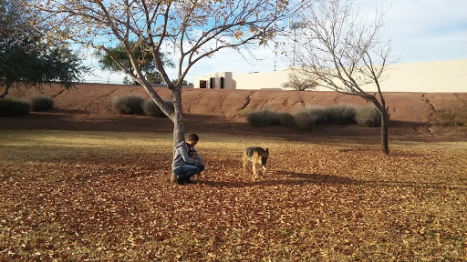 Park «Turtle Rock Park», reviews and photos, 17414 N 12th St, Phoenix, AZ 85022, USA