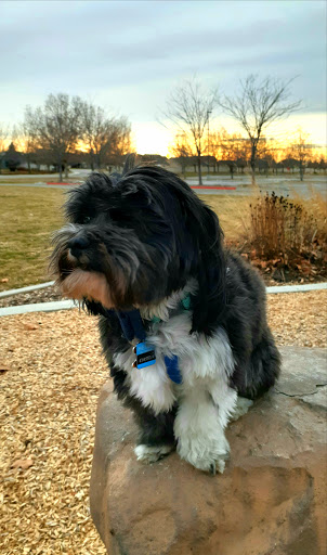 Pet Supply Store «Petco Animal Supplies», reviews and photos, 2210 N Eagle Rd, Meridian, ID 83646, USA