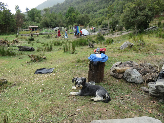 Camping Las Cascadas De Caleta Condor - Camping