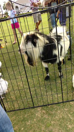 Golf Club «Stoneybrook Golf Club», reviews and photos, 21251 Stoneybrook Golf Blvd, Estero, FL 33928, USA