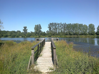 Étang du Mouet à Saint-Viâtre