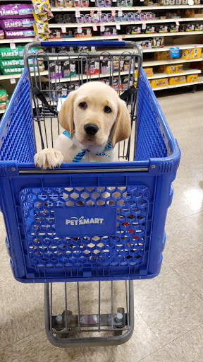 Pet Supply Store «PetSmart», reviews and photos, 19175 Lyndon B Johnson Fwy, Mesquite, TX 75150, USA