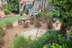 Congo River Golf image