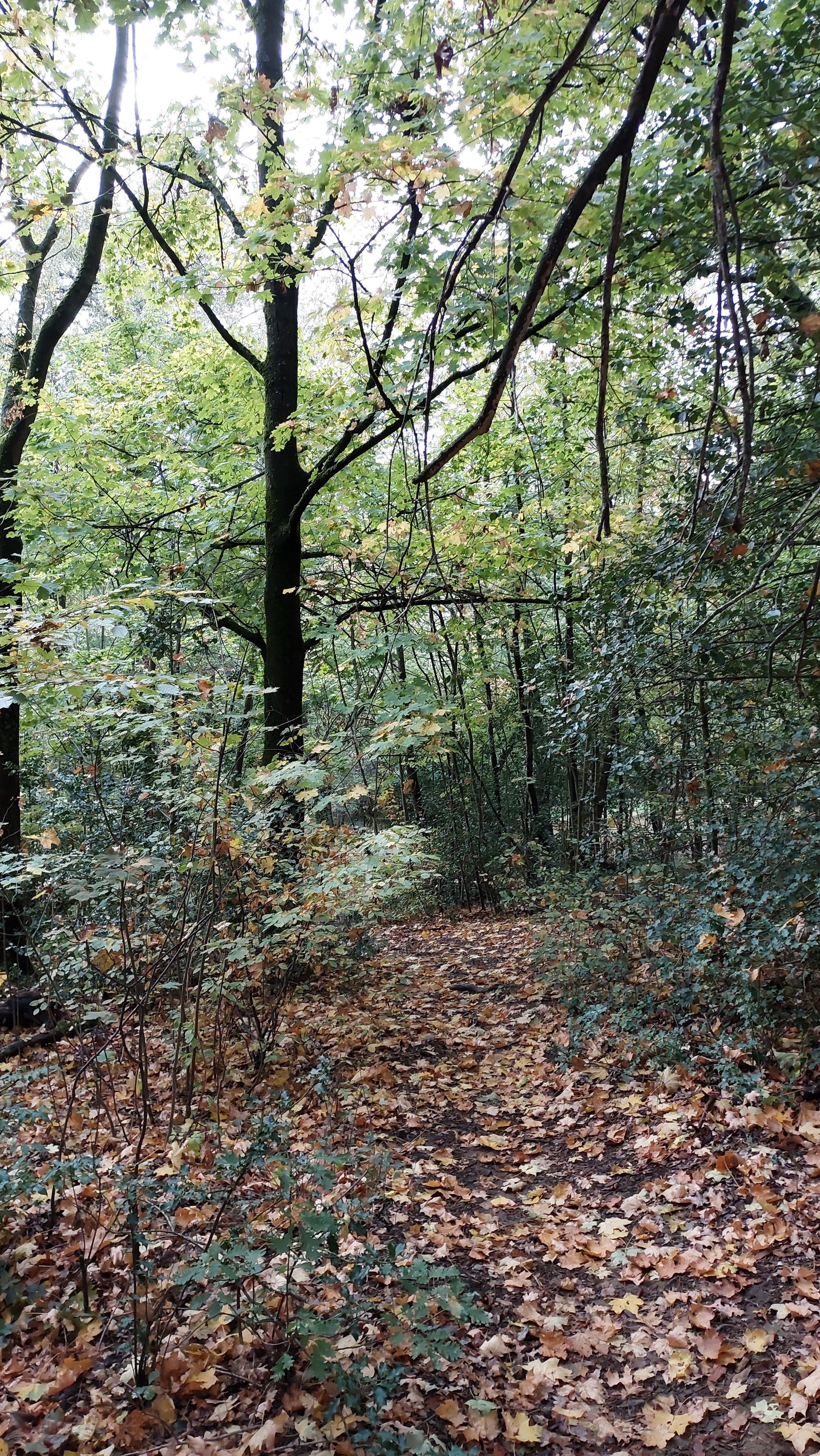 Photo n° 10 de l'avis de Josh.r fait le 05/11/2022 à 12:12