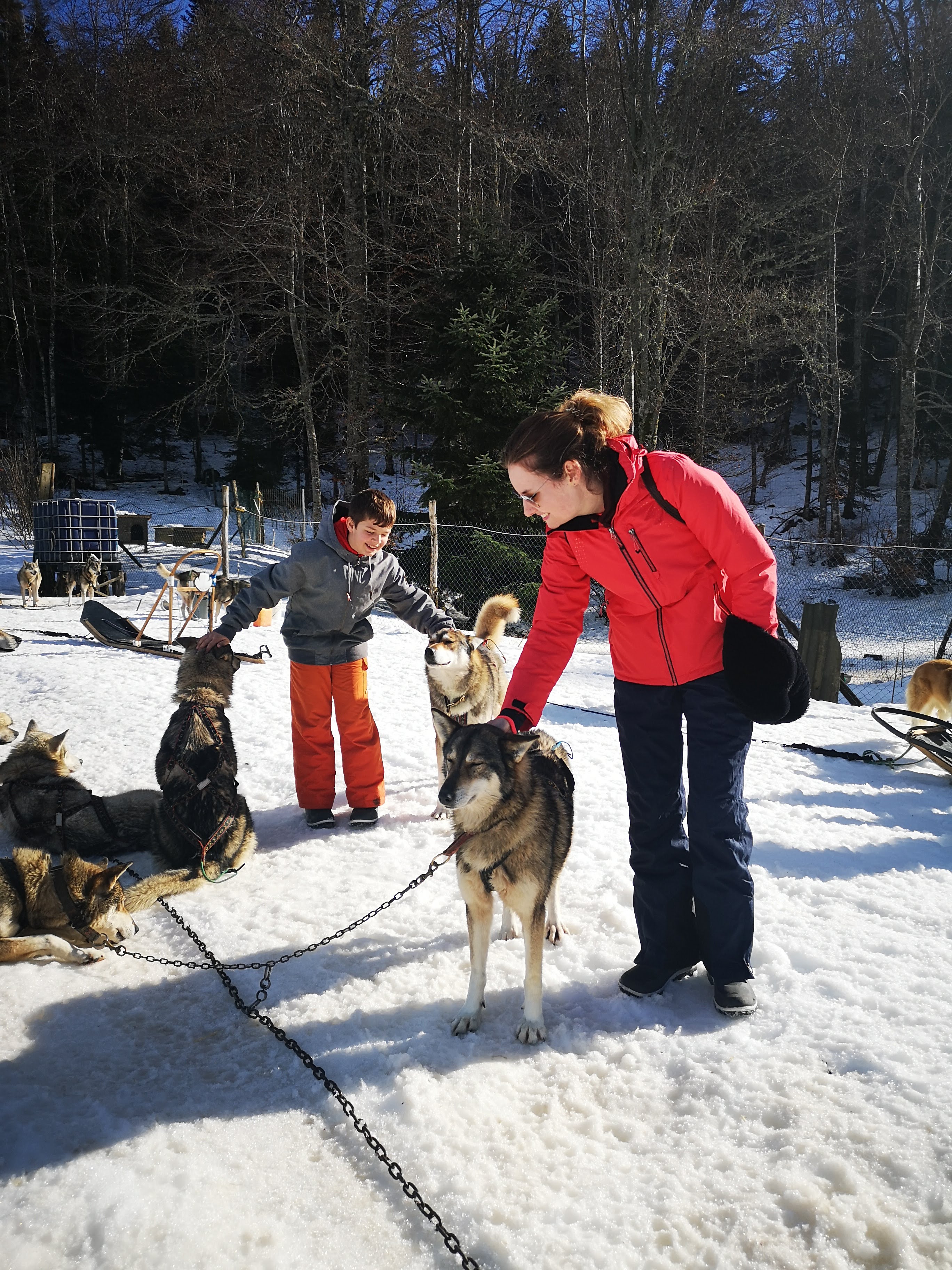 Photo n° 1 de l'avis de Rémi.o fait le 08/02/2021 à 12:07