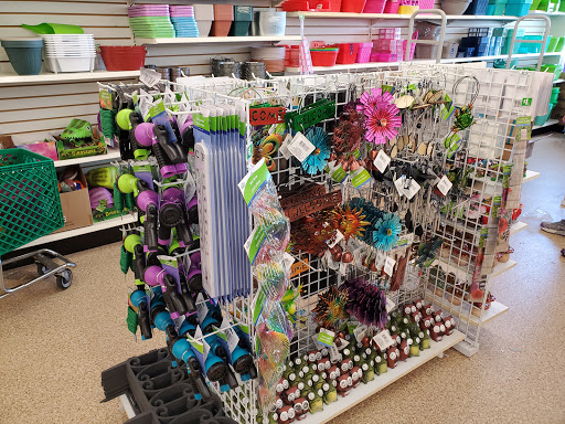 Dollar Store «Dollar Tree», reviews and photos, 10 Plaza Dr, Fairview Heights, IL 62208, USA